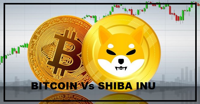 Shiba Inu vs Bitcoin: Which is the Better Cryptocurrency To Invest In? 